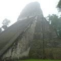 P1000242.JPG